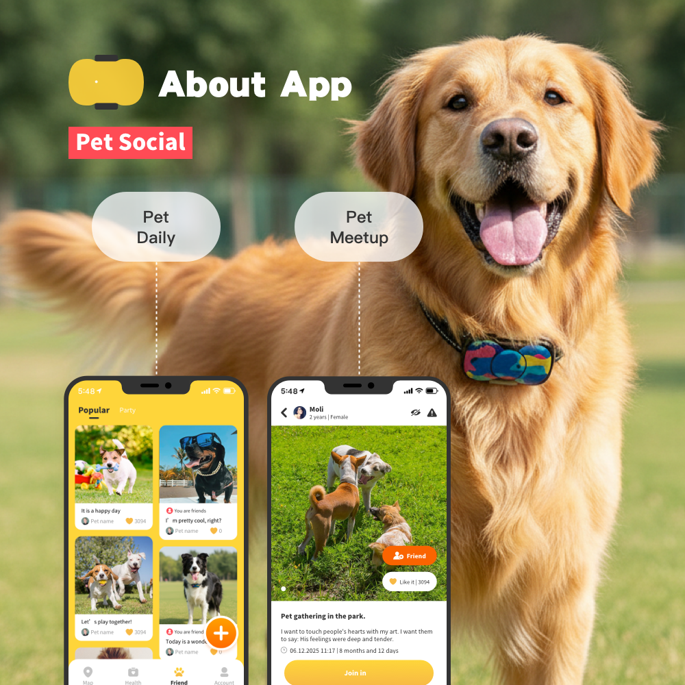 hipet 4G GPS Dog Tracker – Real-Time Pet Tracker with App, 30-Day Battery, Waterproof, Worldwide Coverage, 3-Day Free Plan & 90-Day Return Guarantee, Work with iOS & Android