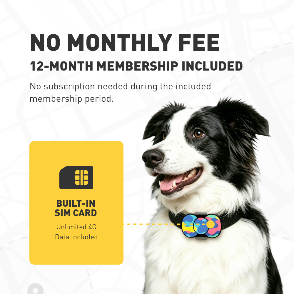 4G GPS Dog Tracker [12-Month Membership Included] No Monthly Fee, Real-Time Tracking,Virtual Fence Alerts